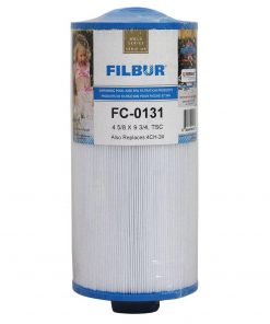 Filters For Baptism Pumps