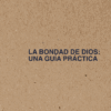 Goodness of God Field Guide Spanish (136 per case)