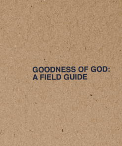 Goodness Of God Field Guide English (136 per case)